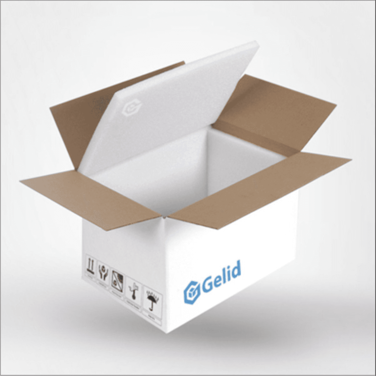 Cold Chain — Frozen Products